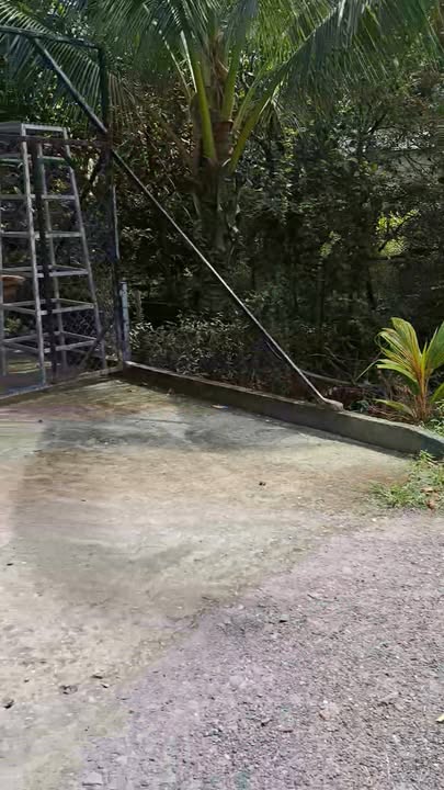 Đất thổ cư Bình Hòa Bắc 135m² giá 395 triệu - Cơ hội đầu tư hấp dẫn!