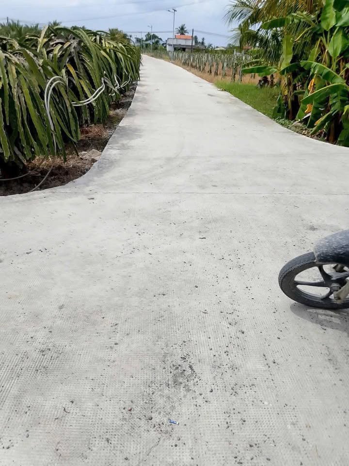 Đất nền 379m² xã Thanh Phú Long, Châu Thành, Long An - Giá chỉ 220 triệu, bớt lộc!