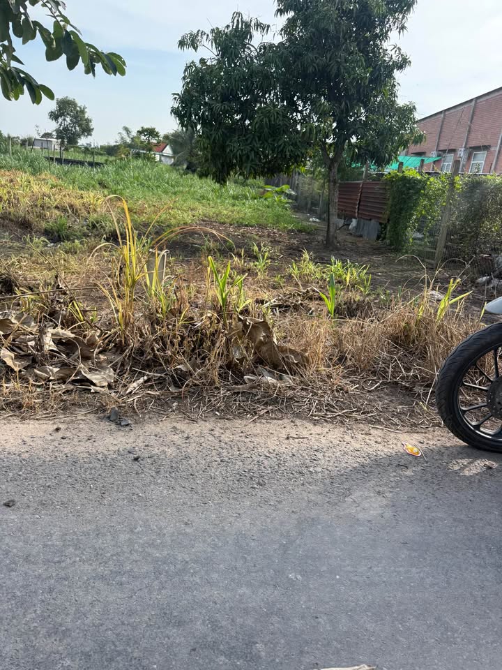 Đất thổ cư mặt tiền kinh doanh Xóm Gò, Đức Lập Hạ 230m² giá 1.29 tỷ - Cơ hội đầu tư tuyệt vời!