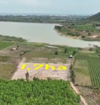 Đất nền đẹp Tân Hải 16954m² giá 4 tỷ - Cơ hội đầu tư tuyệt vời!