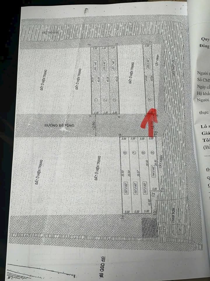 Đất Dãn Dân Đông Long, Tiền Hải 205m² giá 1.5 tỷ - Vị trí đắc địa gần chợ và trường học!