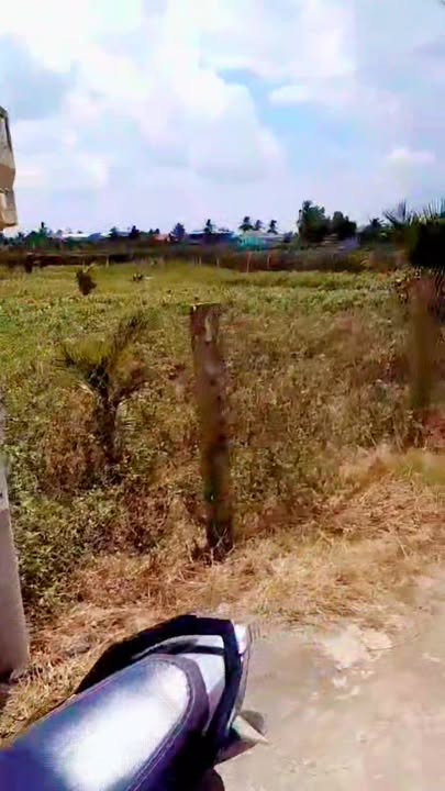 Đất nền Tân Bình Thạnh, Chợ Gạo 5440m² giá 950 triệu - Cơ hội đầu tư hấp dẫn!