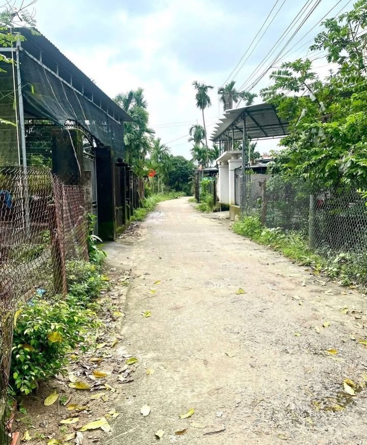 Đất nền An Hà 1, Nghĩa Trung 150m² giá 600 triệu - Đầu tư sinh lời ngay!