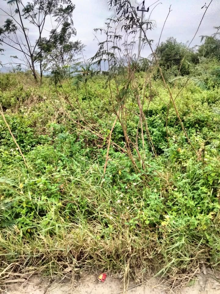 Đất mặt tiền Đức Lân, Mộ Đức 100m² giá chỉ 700 triệu - Cơ hội đầu tư tuyệt vời!