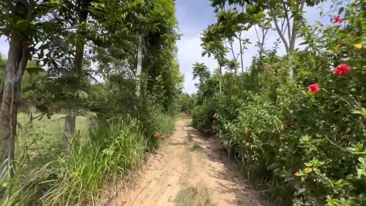 Đất nền 1121m² tại Km 105, xã Phú Ngọc, giá chỉ 299 triệu - Đầu tư sinh lời ngay!