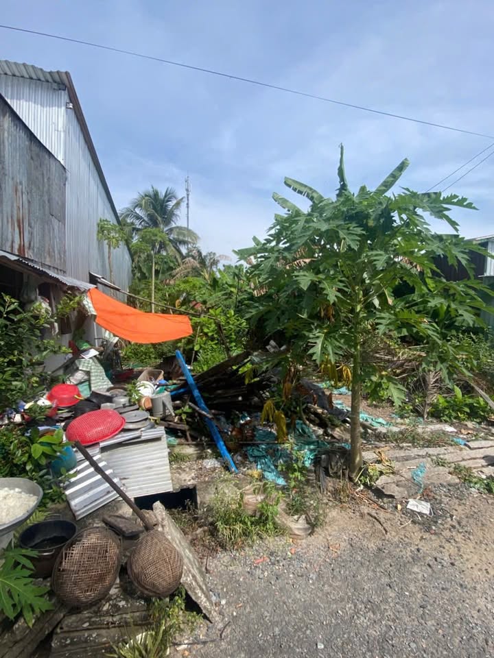 Đất nền KDC Tân Quy Tây, Sa Đéc 72m² giá 950 triệu - Cơ hội đầu tư hấp dẫn!