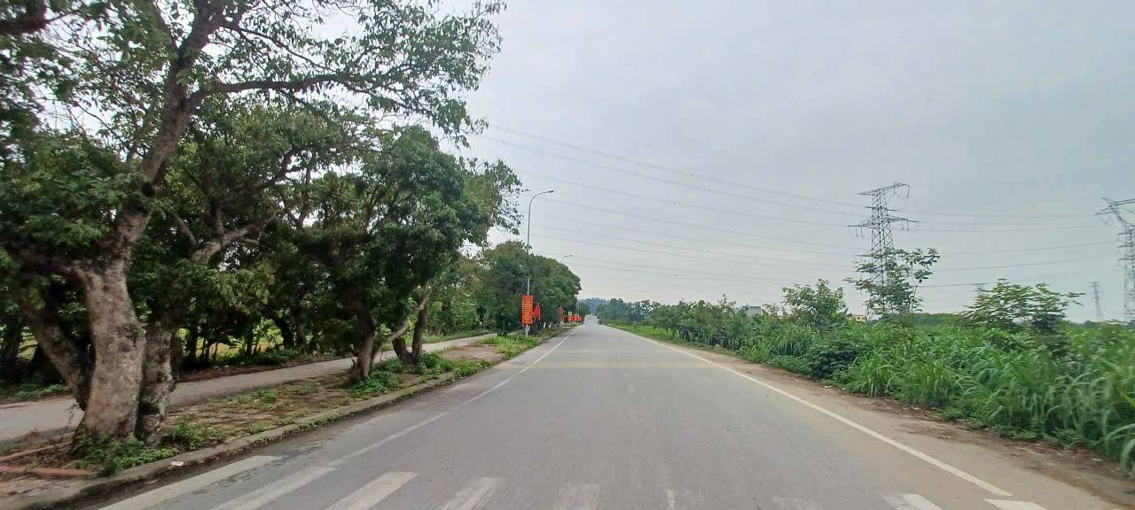 Đất nền thôn Thượng, xã Phật Tích, 84m² giá 1.6 tỷ - Mặt tiền 5.5m, ô tô vào tận nơi!