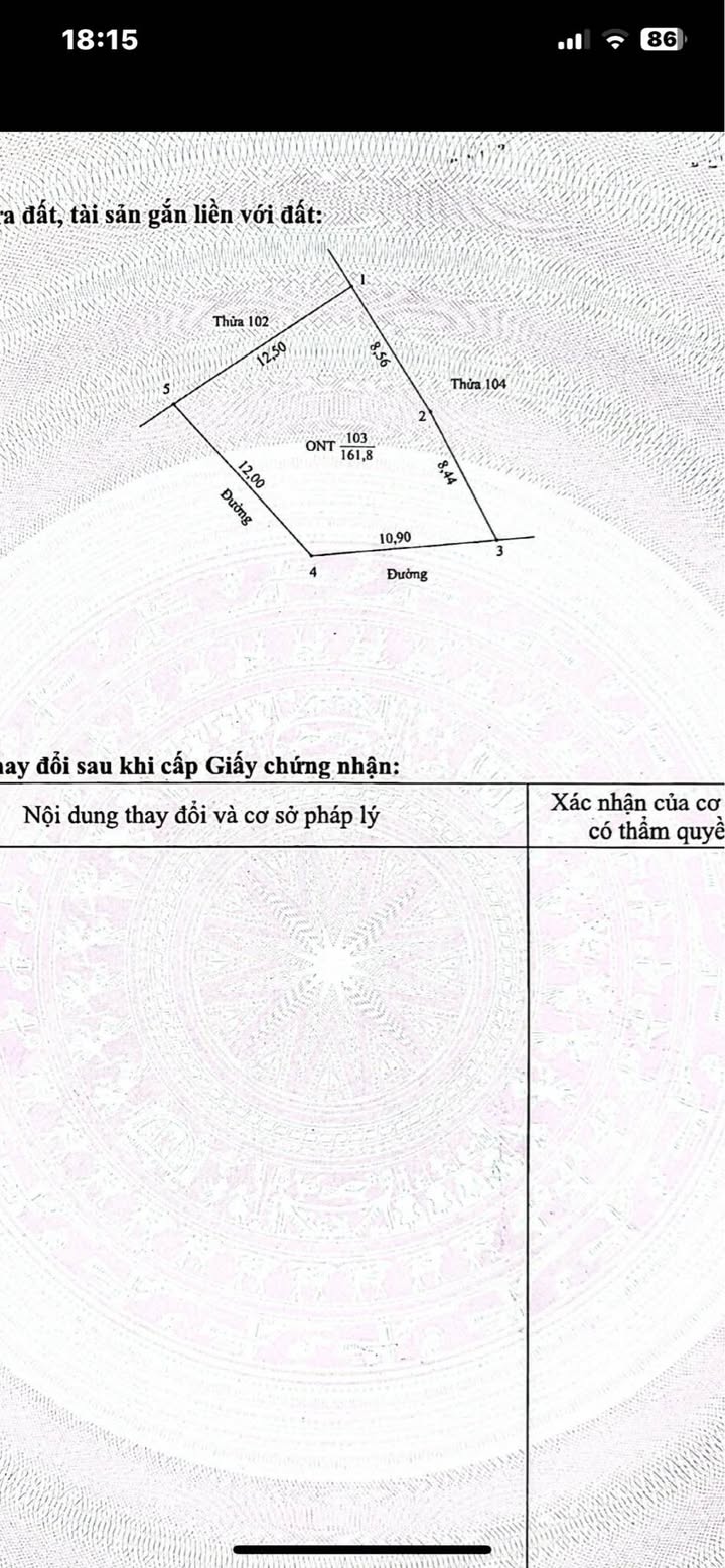 Đất nền Yên Thịnh, Yên Mô 161m² giá 1.6 tỷ - Xây nhà vườn đẳng cấp!