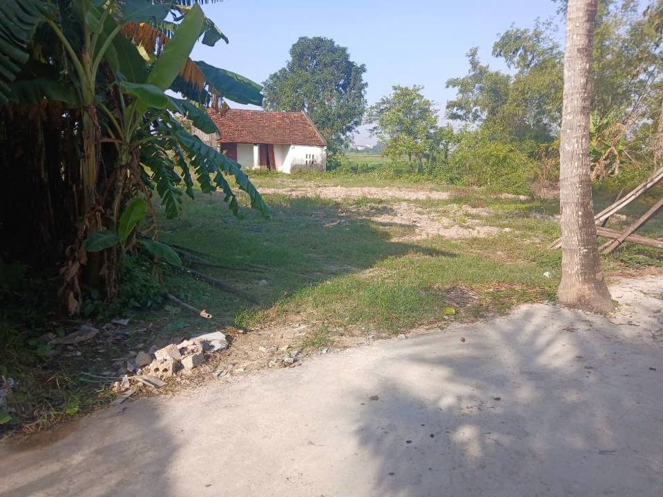 Đất nền 1800m² tại Đông Quang, Thanh Hóa - Giá chỉ 3 tỷ - Đầu tư sinh lời ngay!