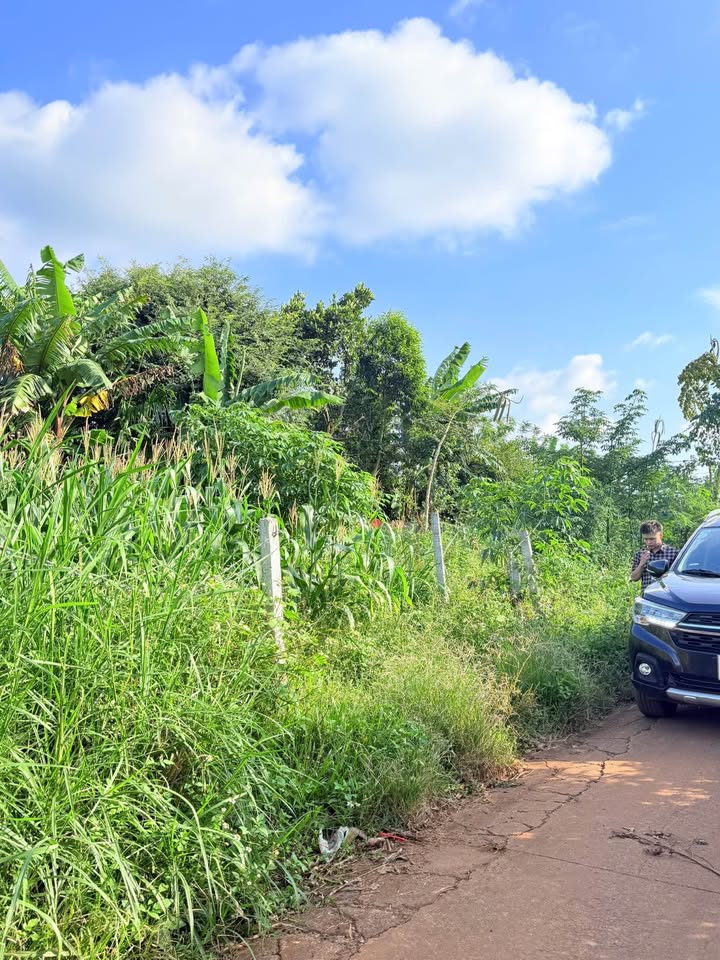 Lô đất Ea Tiêu, Cư Kuin 110m² giá 350 triệu - Đầu tư sinh lời ngay!