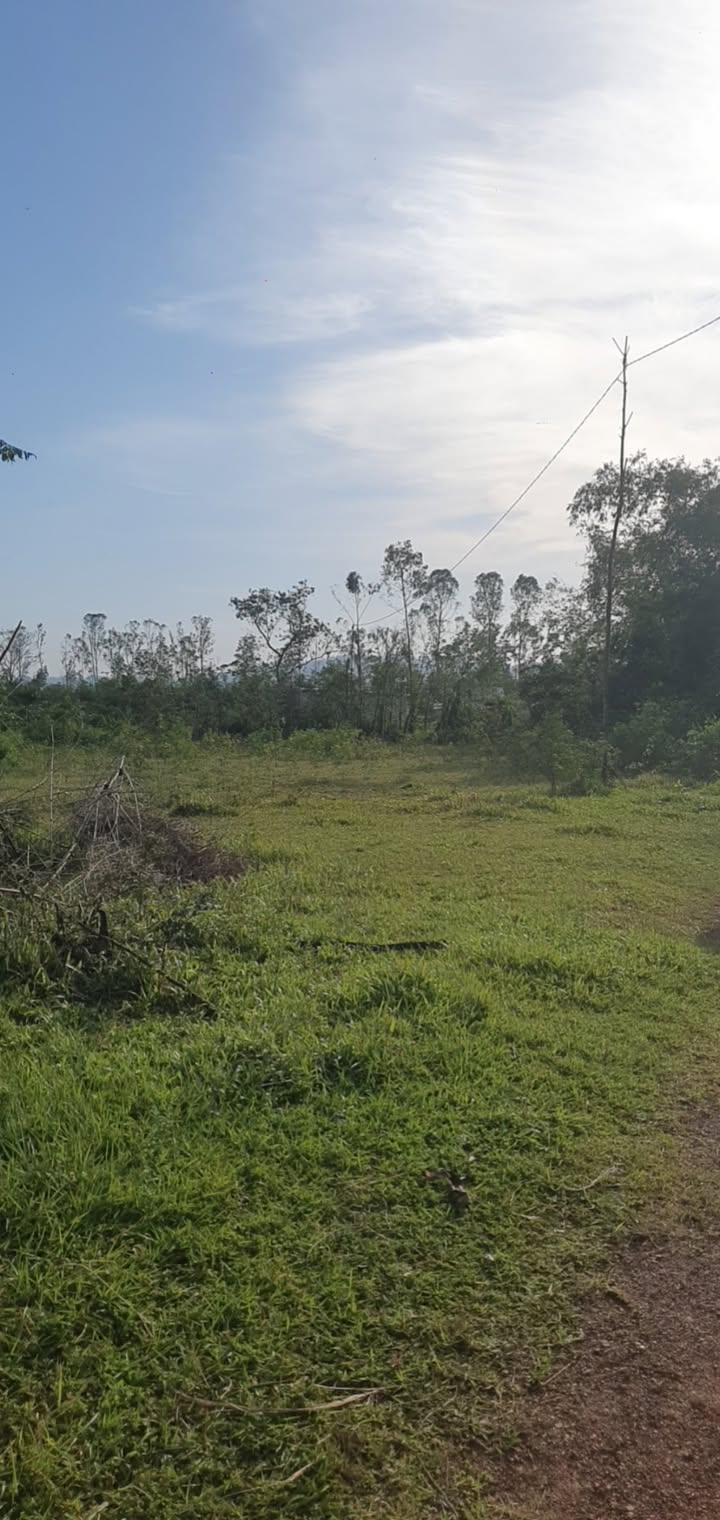 Đất nền Khánh Vĩnh Yên 1650m² giá chỉ vài trăm triệu - Cơ hội đầu tư hấp dẫn!