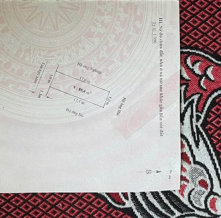 Đất nền An Đồng Hải Phòng 85m² giá 3.56 tỷ - Phong thủy đẹp, giao thông thuận lợi!