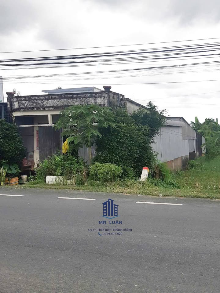 Nhà đất mặt tiền chợ Năm Căn, Cà Mau 447m² giá 2 tỷ - Vị trí đắc địa gần chợ!