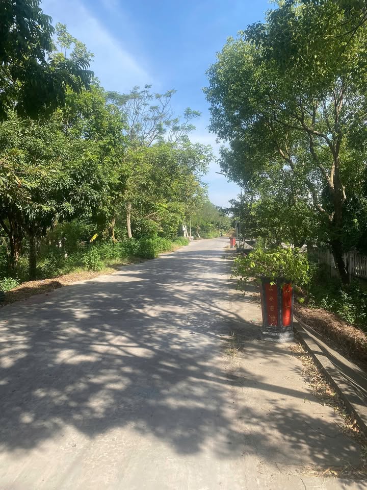 Đất thổ cư xóm 9 Phúc Thắng 360m² giá chỉ 2.4 tỷ - Gần chợ cóc và trường học!