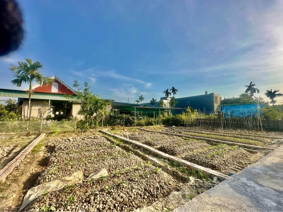 Đất nền liền kề Hồng Thái, An Dương 47m² giá 700 triệu - Cơ hội đầu tư hấp dẫn!