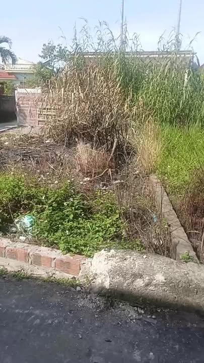 Đất nền biệt thự góc 122m² Quảng Thanh, Thủy Nguyên - Giá chỉ 1.68 tỷ!