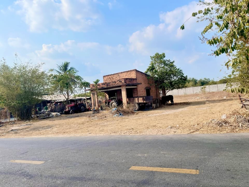 Đất MT Đỗ Đăng Tuyển Củ Chi 1132m² giá chỉ 8.5 tỷ - Đầu tư sinh lời ngay!