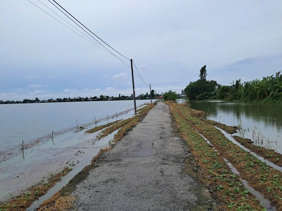 Đất nông nghiệp 2546m² tại xã Thạnh Quới, Cần Thơ - Cơ hội đầu tư hấp dẫn!