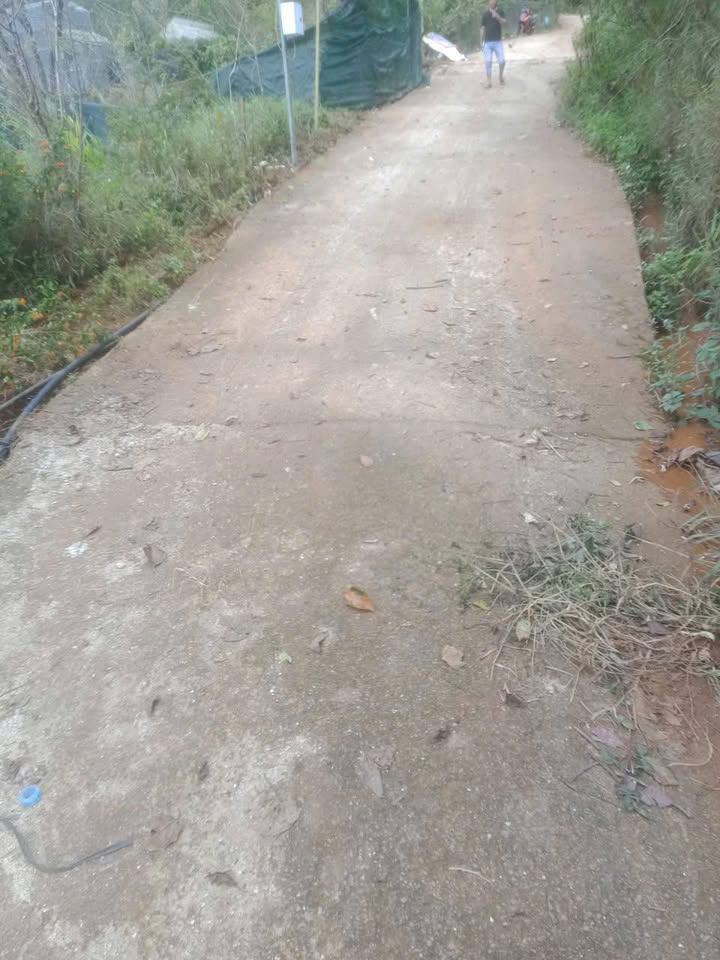 Đất Vạn Thành Đà Lạt 130m² - Giá thỏa thuận, Sổ đỏ chính chủ!