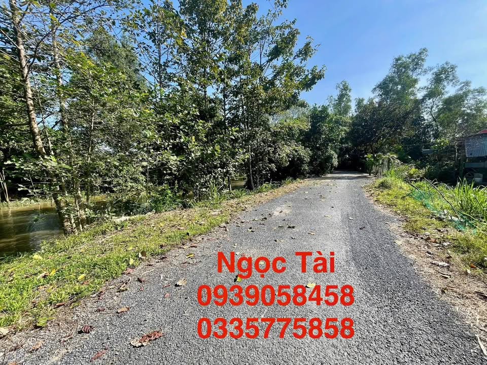 Đất nền Tân Phú Trung - Châu Thành 2197m² giá 599.1 triệu - Cơ hội đầu tư tuyệt vời!