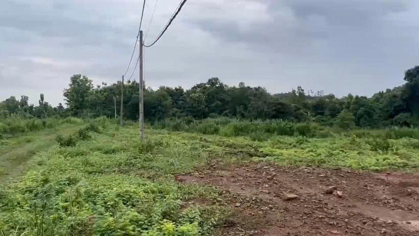 Đất thổ cư 100m² 8 sào tại xã Phú Tân, giá 1.1 tỷ - Cơ hội đầu tư hấp dẫn!