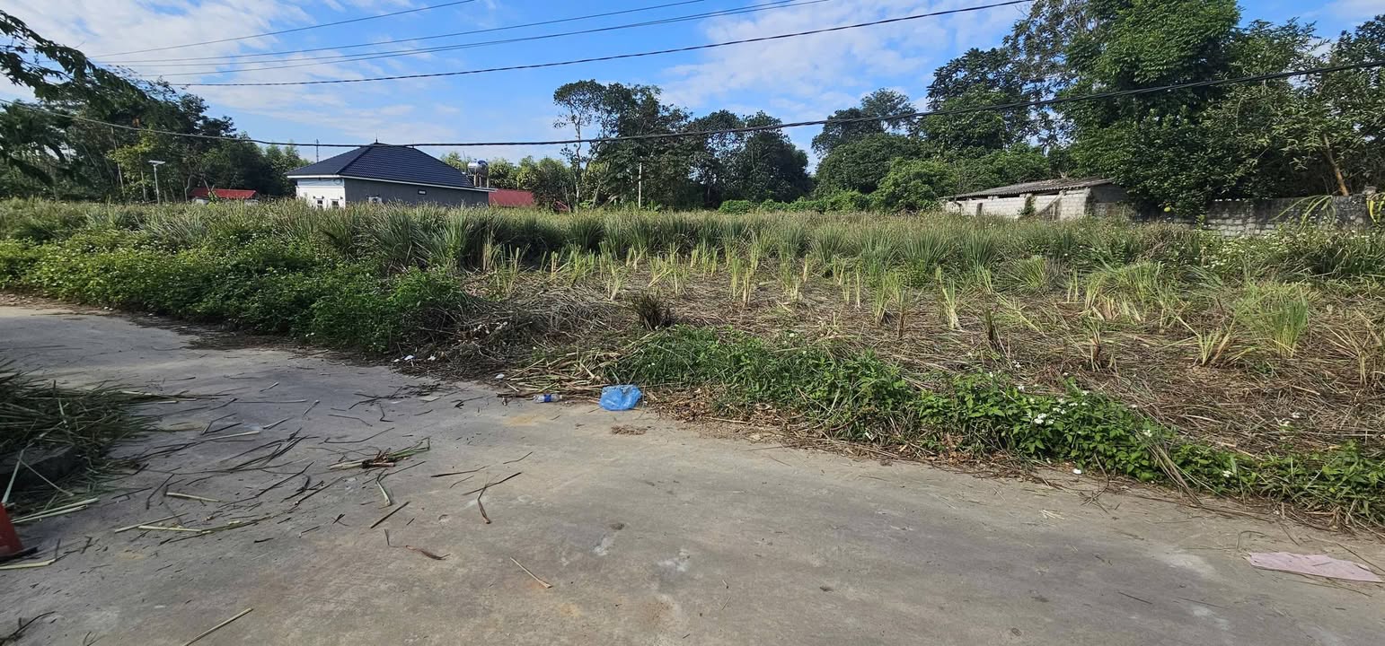 Đất nền chính chủ tại Đồng Tiến, Yên Thế 200m² - Giá chỉ 300 triệu VND!