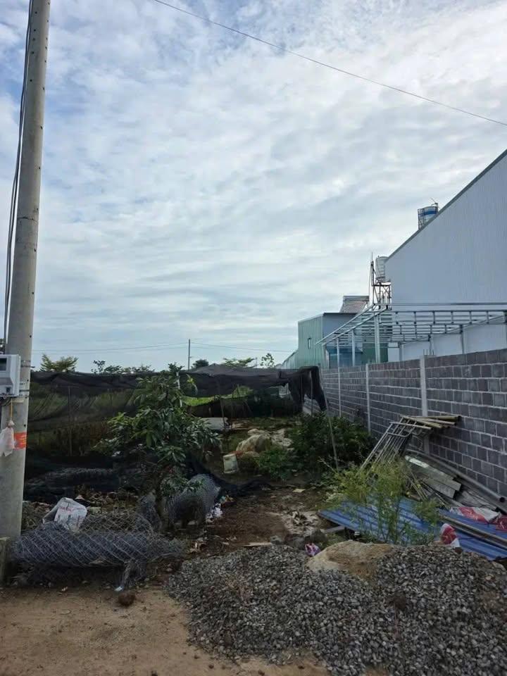 Đất thổ cư Hẻm 113 Nguyễn Đình Chiểu 135m² giá 1.6 tỷ - Cơ hội đầu tư hấp dẫn!