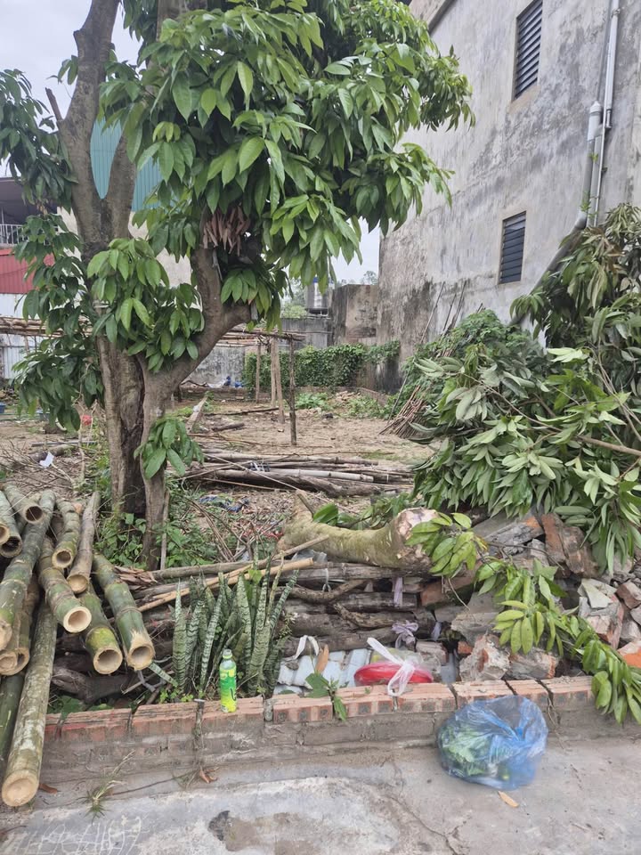 Đất thổ cư Gia Đông, Thuận Thành, Bắc Ninh 66.3m² giá 1.85 tỷ - Đầu tư sinh lời ngay!