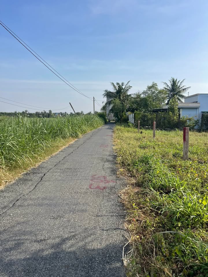 Đất nền 220m² xã Bình Nhì, Gò Công Tây, giá 360 triệu - Cơ hội đầu tư tuyệt vời!