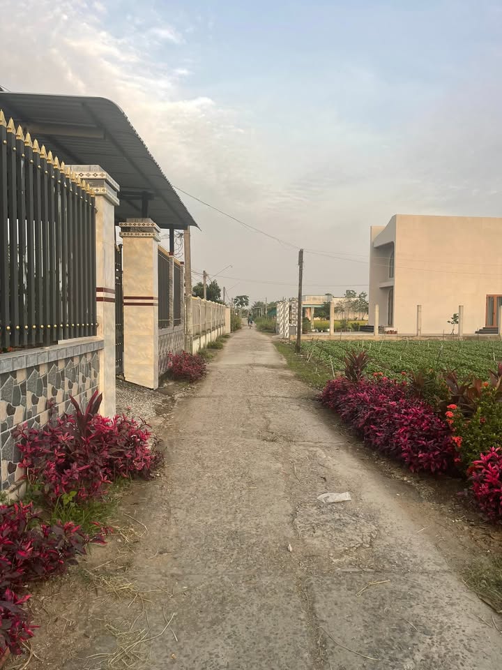 Đất thổ cư Gò Công Tây 1104m² giá 1.7 tỷ - Đầu tư sinh lời ngay!