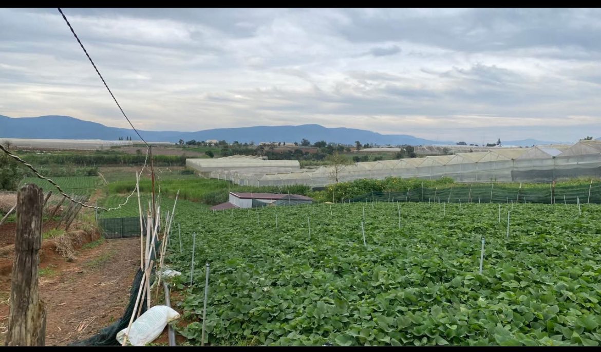 Đất nền 10.000 m² tại Quảng Lập, Đơn Dương, Lâm Đồng - Giá chỉ 900 triệu