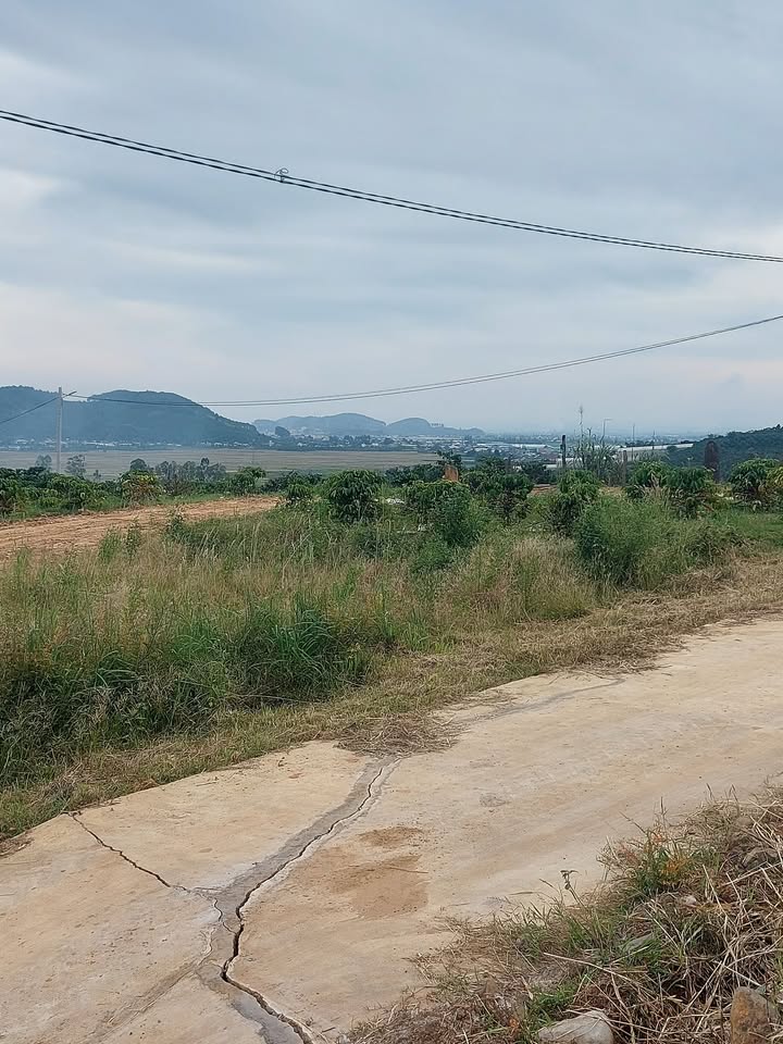 Đất nền tại Tân Đức Tân Văn, Đức Trọng 296m² chỉ 585 triệu - View cực đẹp!