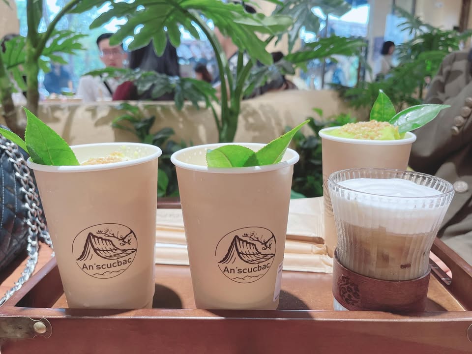 Lô đất An Mỹ 104m² giá 1.5 tỷ - Vị trí đắc địa, không ngập nước!