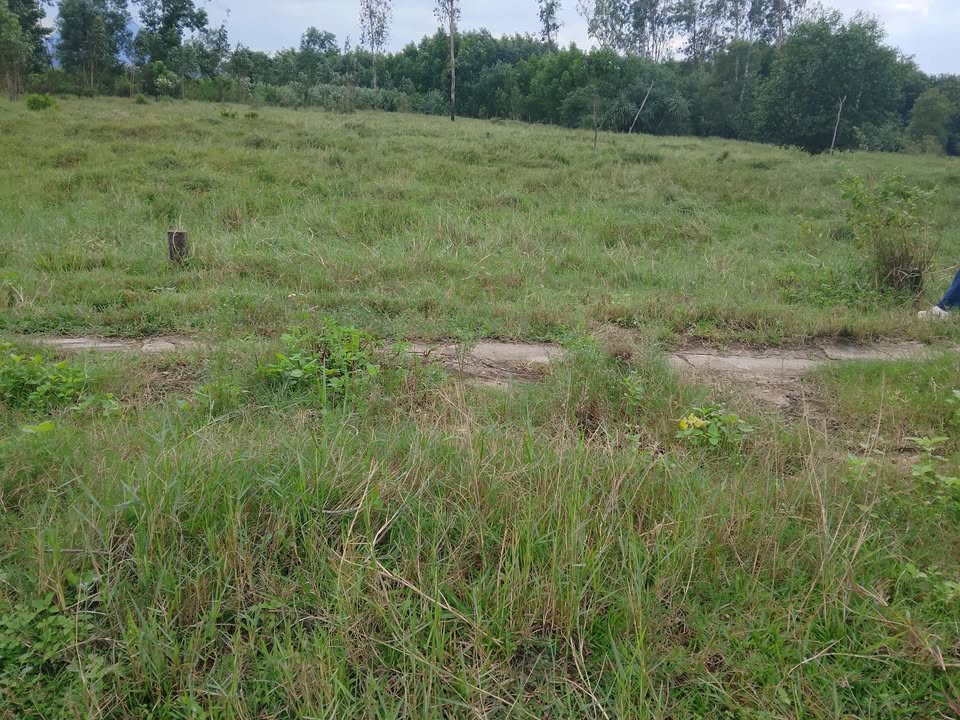 Đất nền Duy Hoà, Quảng Nam 125m² giá chỉ 230 triệu - Sổ hồng trao tay!