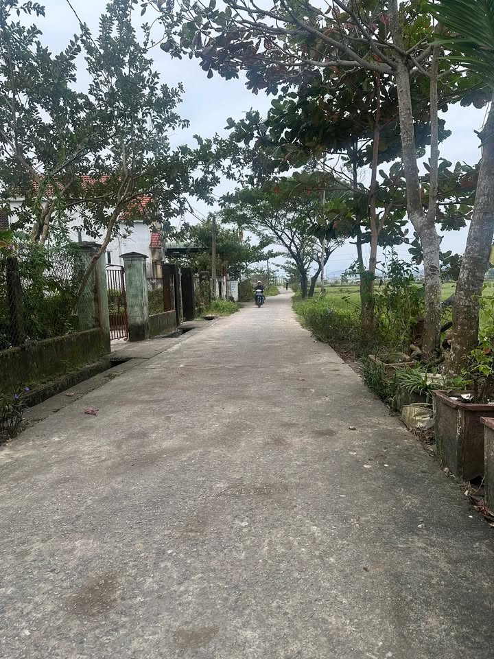 Đất Trường Xuân, Tam Kỳ 168m² giá 800 triệu - Sổ hồng sắp ra!