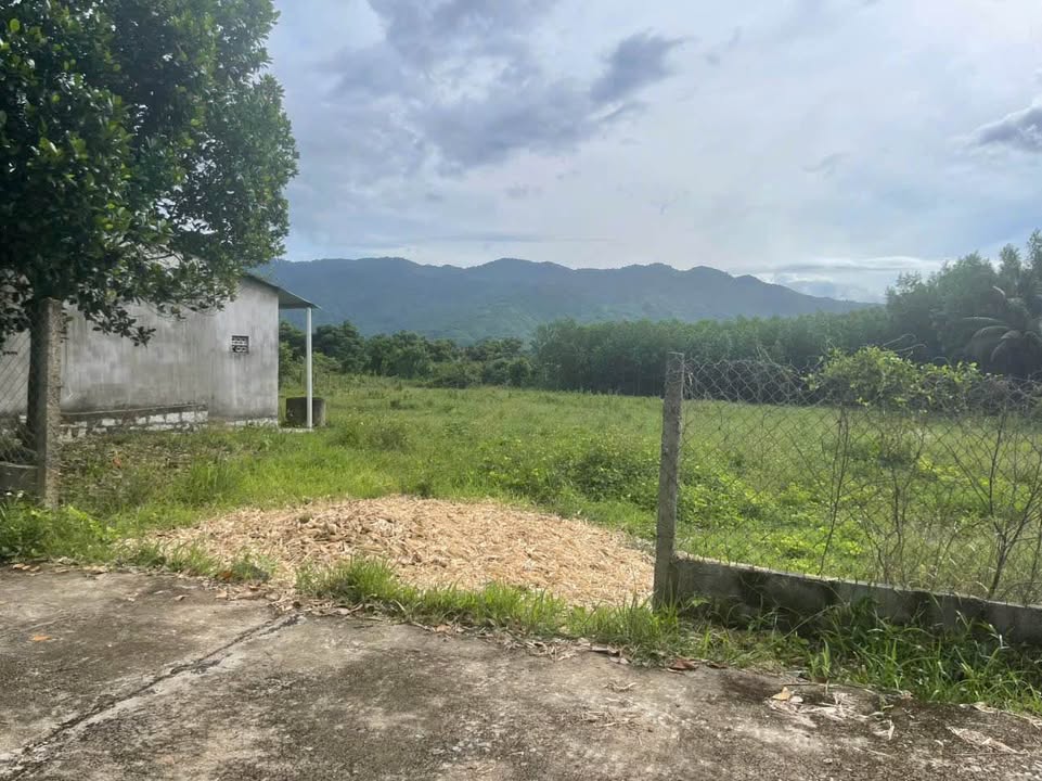 Đất nền Láng Nhớt, Diên Thọ 4444m² giá 4 tỷ - Cơ hội đầu tư tuyệt vời!