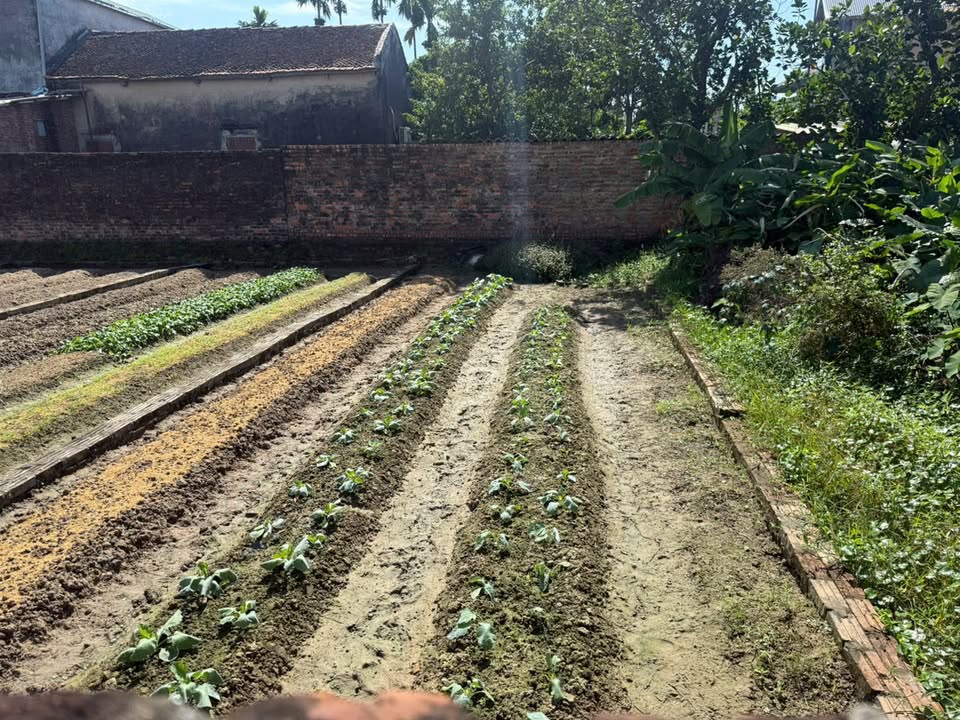 Đất nền Phường Ninh Xá, Thuận Thành 63m² giá 2.85 tỷ - vị trí đẹp, pháp lý chuẩn!