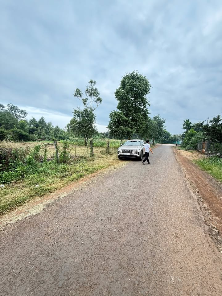 Đất nền mặt tiền kinh doanh tại phường Thành Nhất, Buôn Ma Thuột 135m² giá 1.05 tỷ - Cơ hội đầu tư sinh lời!