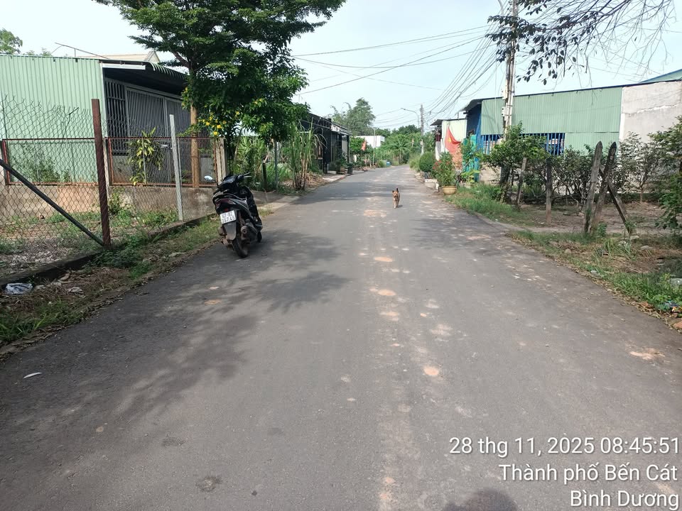 Đất nền Long Nguyên Bàu Bàng 100m² giá 3.85 tỷ - Vị trí đẹp cho đầu tư