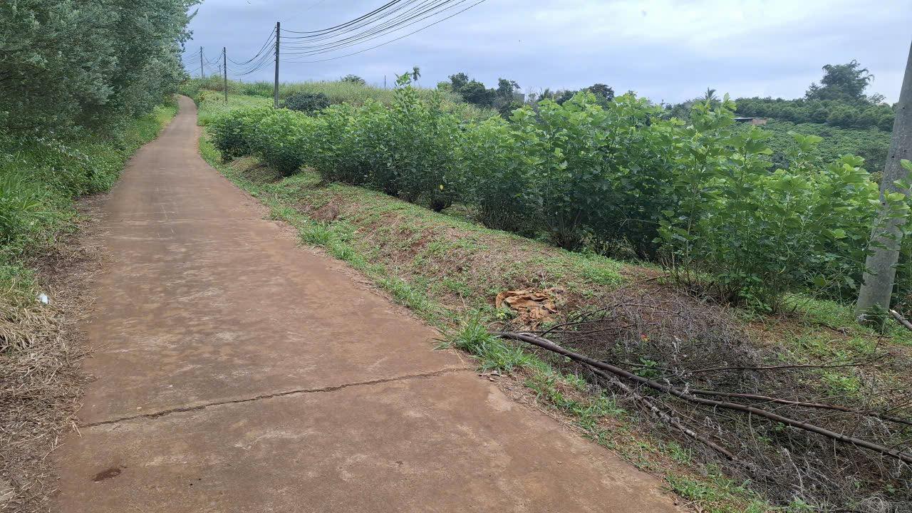 Đất nền Phúc Thọ 20m² giá 1.6 tỷ - Cơ hội đầu tư hấp dẫn!