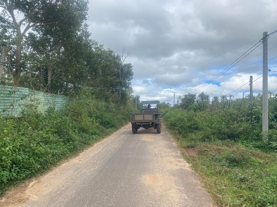 Đất nền thổ cư 5600m² tại thôn Mỹ Yang, Gia Lai - Giá chỉ 840 triệu!