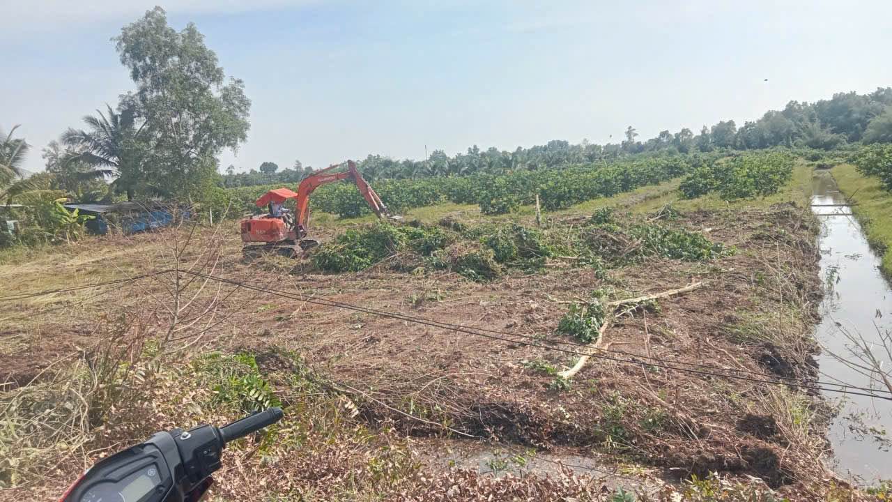 Đất thổ cư 310m² tại xã Thạnh Hòa, Bến Lức chỉ 1.17 tỷ - Cơ hội đầu tư tuyệt vời!