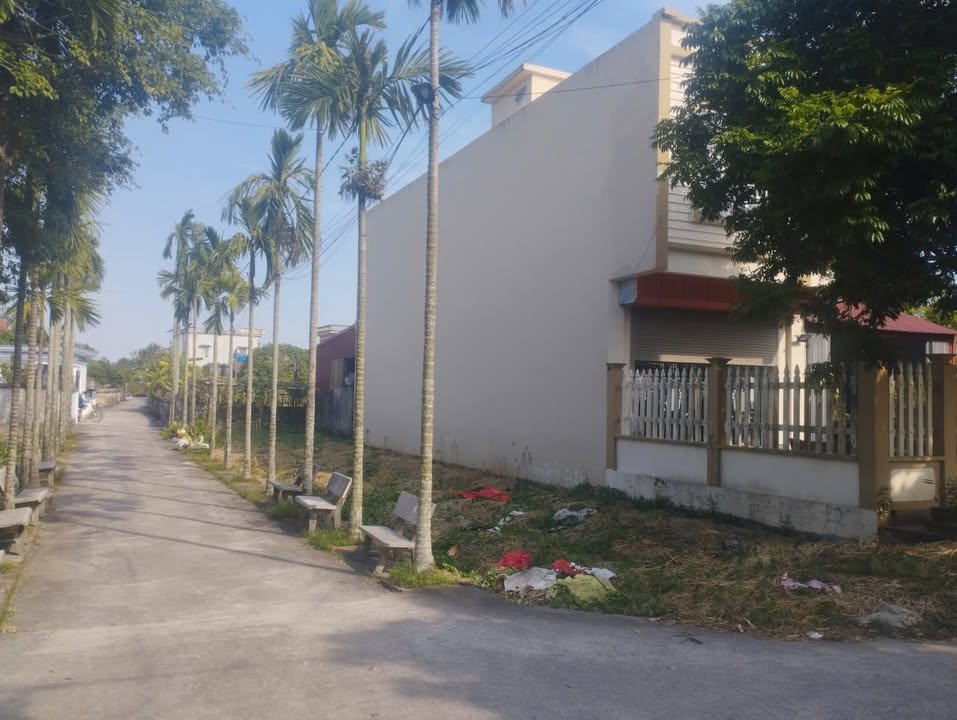 Đất nền lô góc Tân Học - Thái Thụy 130m² giá 1.1 tỷ - Nhiều tiện ích xung quanh!