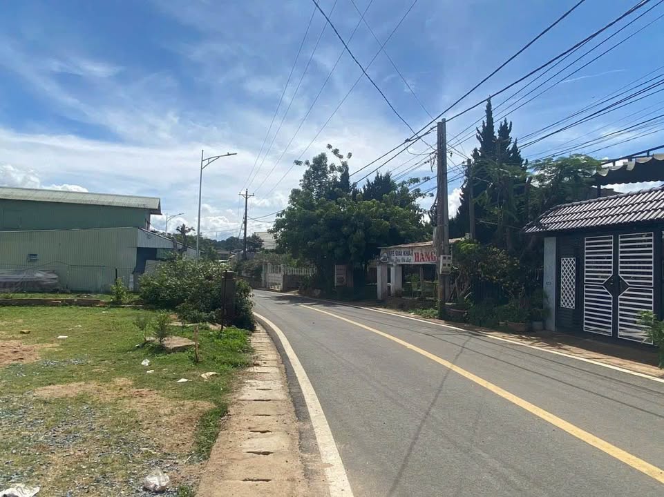 Đất biệt thự đường Măng Lin, Đà Lạt 200m² giá 5.2 tỷ - Cơ hội đầu tư tuyệt vời!