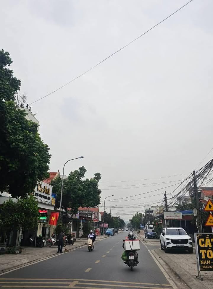 Đất nền 73m² tại Thủy Nguyên, Hải Phòng - Vị trí đắc địa, ô tô vào tận nơi!