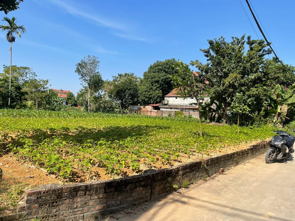 Đất nền Tân Phương, Thanh Thủy 270m² - View sông thoáng mát