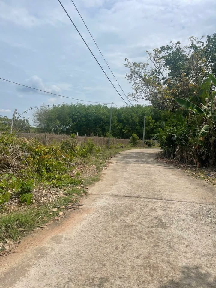 Đất nền Suối Cao, Xuân Lộc, Đồng Nai 3600m² - Sổ hồng riêng, giá tốt cho nhà đầu tư!