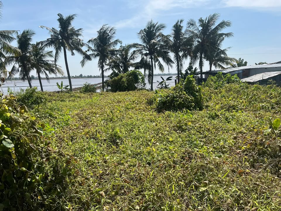 Đất nền mặt tiền kênh KH1, Ấp Minh Tân, 549m² giá 27.47 tỷ - Cơ hội đầu tư lý tưởng!