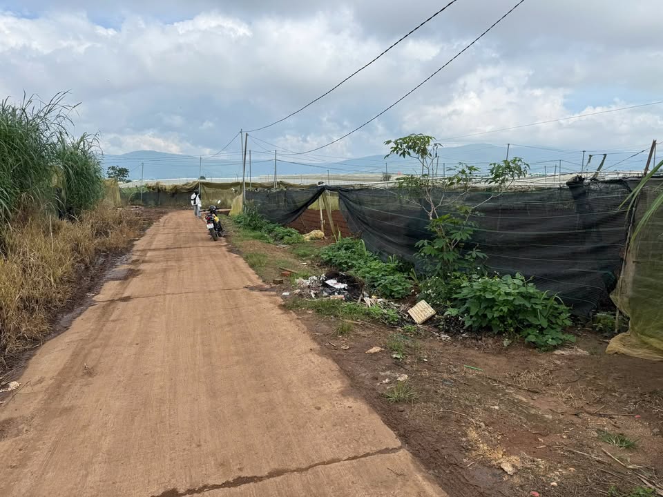 Đất mặt tiền 2 mặt tại xã Ka Đô, Đơn Dương 5100m² giá 4.2 tỷ - Cơ hội đầu tư hấp dẫn!