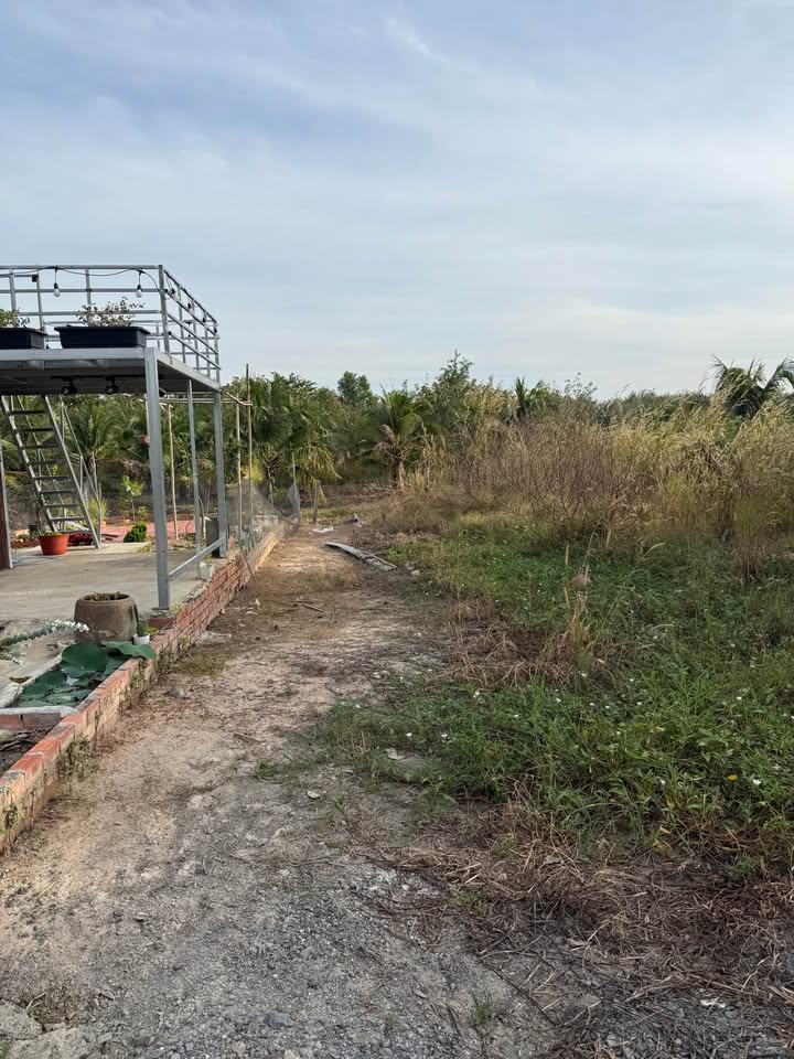 Đất nền đường số 33 Nguyễn Văn Linh 90m² giá 450 triệu - Đầu tư sinh lời ngay!